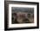 Ruins of Bagan (Pagan), Myanmar (Burma), Asia-Colin Brynn-Framed Photographic Print