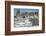 Ruins of Caesarea-Unknown-Framed Photographic Print