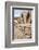 Ruins of Chan Chan Pre-Columbian Archaeological Site Near Trujillo, Peru, South America-Michael DeFreitas-Framed Photographic Print