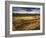 Ruins of Cliff Palace Built by Pueblo Indians, Mesa Verde National Park, Colorado, USA-Dennis Flaherty-Framed Photographic Print