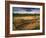 Ruins of Cliff Palace Built by Pueblo Indians, Mesa Verde National Park, Colorado, USA-Dennis Flaherty-Framed Photographic Print