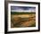 Ruins of Cliff Palace Built by Pueblo Indians, Mesa Verde National Park, Colorado, USA-Dennis Flaherty-Framed Photographic Print