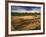 Ruins of Cliff Palace Built by Pueblo Indians, Mesa Verde National Park, Colorado, USA-Dennis Flaherty-Framed Photographic Print