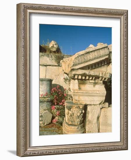 Ruins of Elefsina, Attica, Greece-Rainer Hackenberg-Framed Photographic Print