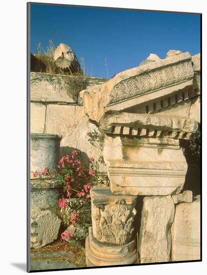 Ruins of Elefsina, Attica, Greece-Rainer Hackenberg-Mounted Photographic Print