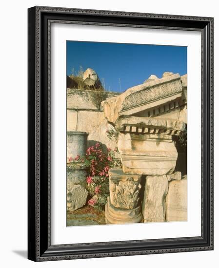 Ruins of Elefsina, Attica, Greece-Rainer Hackenberg-Framed Photographic Print