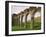 Ruins of Llanthony Priory, Vale of Ewyas, Black Mountains, Gwent, Wales, United Kingdom-Adam Woolfitt-Framed Photographic Print