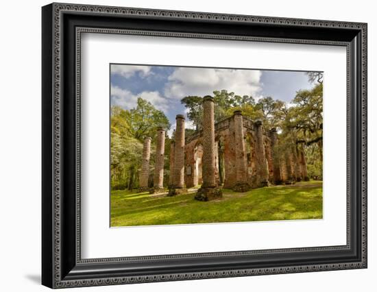 Ruins of Old Sheldon Church, South Carolina-Darrell Gulin-Framed Photographic Print