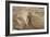 Ruins of Otrar (Utrar or Farab), Kazakhstan.-Dmitry Chulov-Framed Photographic Print