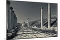 Photographic Print