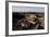 Ruins of Roman Mammisi, Temple of Hathor, Dendera, Egypt-null-Framed Giclee Print