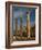 Ruins of Roman Times, Ephesus, Turkey-Darrell Gulin-Framed Photographic Print