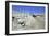 Ruins of the Ancient City of Pella, Jordan-Vivienne Sharp-Framed Photographic Print