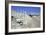 Ruins of the Ancient City of Pella, Jordan-Vivienne Sharp-Framed Photographic Print