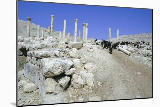 Ruins of the Ancient City of Pella, Jordan-Vivienne Sharp-Mounted Photographic Print