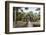 Ruins of the Chau Say Tevoda Temple, Angkor, UNESCO World Heritage Site, Cambodia, Indochina-Yadid Levy-Framed Photographic Print