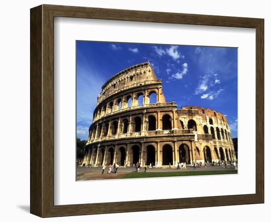 Ruins of the Coliseum, Rome, Italy-Bill Bachmann-Framed Photographic Print