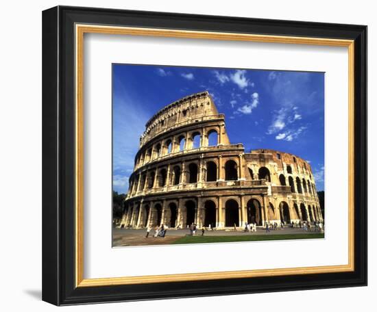 Ruins of the Coliseum, Rome, Italy-Bill Bachmann-Framed Photographic Print