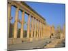 Ruins of the Colonnade, Palmyra, Unesco World Heritage Site, Syria, Middle East-Alison Wright-Mounted Photographic Print