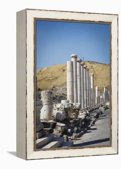 Ruins of the Roman-Byzantine City of Scythopolis-Yadid Levy-Framed Premier Image Canvas