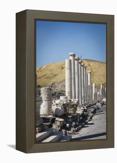 Ruins of the Roman-Byzantine City of Scythopolis-Yadid Levy-Framed Premier Image Canvas