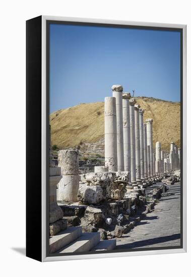 Ruins of the Roman-Byzantine City of Scythopolis-Yadid Levy-Framed Premier Image Canvas