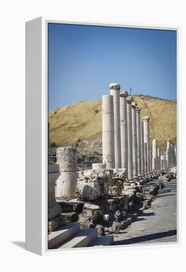 Ruins of the Roman-Byzantine City of Scythopolis-Yadid Levy-Framed Premier Image Canvas