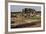 Ruins of the Roman City Viroconium Cornoviorum at Wroxeter, Shropshire, England, United Kingdom-null-Framed Giclee Print