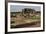 Ruins of the Roman City Viroconium Cornoviorum at Wroxeter, Shropshire, England, United Kingdom-null-Framed Giclee Print