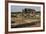 Ruins of the Roman City Viroconium Cornoviorum at Wroxeter, Shropshire, England, United Kingdom-null-Framed Giclee Print