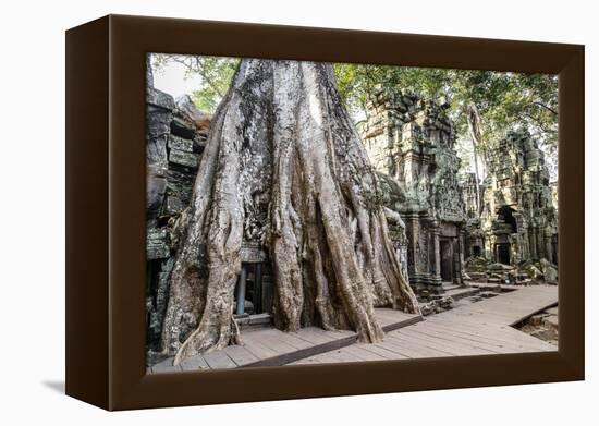 Ruins of the Ta Prohm Temple, Angkor, UNESCO World Heritage Site, Cambodia, Indochina-Yadid Levy-Framed Premier Image Canvas