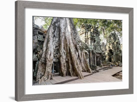 Ruins of the Ta Prohm Temple, Angkor, UNESCO World Heritage Site, Cambodia, Indochina-Yadid Levy-Framed Photographic Print