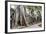 Ruins of the Ta Prohm Temple, Angkor, UNESCO World Heritage Site, Cambodia, Indochina-Yadid Levy-Framed Photographic Print