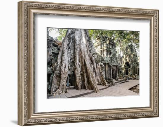 Ruins of the Ta Prohm Temple, Angkor, UNESCO World Heritage Site, Cambodia, Indochina-Yadid Levy-Framed Photographic Print