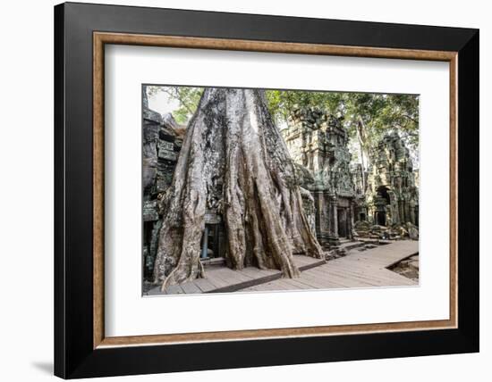 Ruins of the Ta Prohm Temple, Angkor, UNESCO World Heritage Site, Cambodia, Indochina-Yadid Levy-Framed Photographic Print