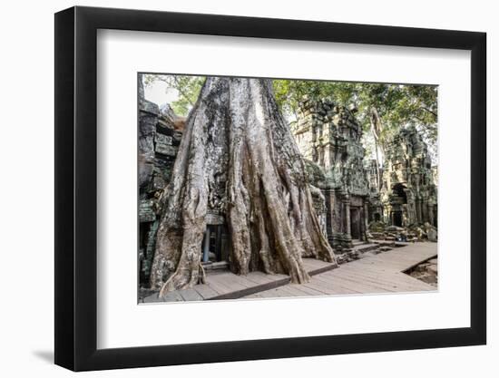 Ruins of the Ta Prohm Temple, Angkor, UNESCO World Heritage Site, Cambodia, Indochina-Yadid Levy-Framed Photographic Print