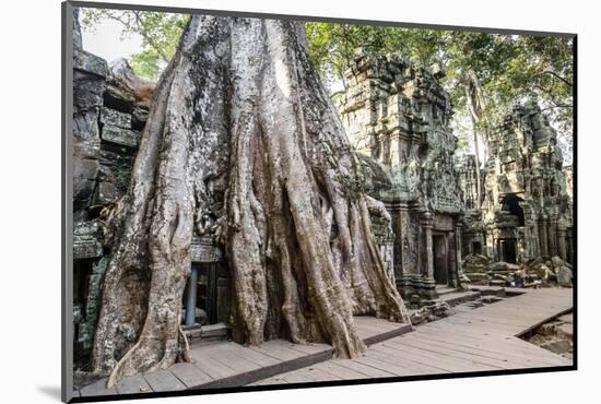 Ruins of the Ta Prohm Temple, Angkor, UNESCO World Heritage Site, Cambodia, Indochina-Yadid Levy-Mounted Photographic Print