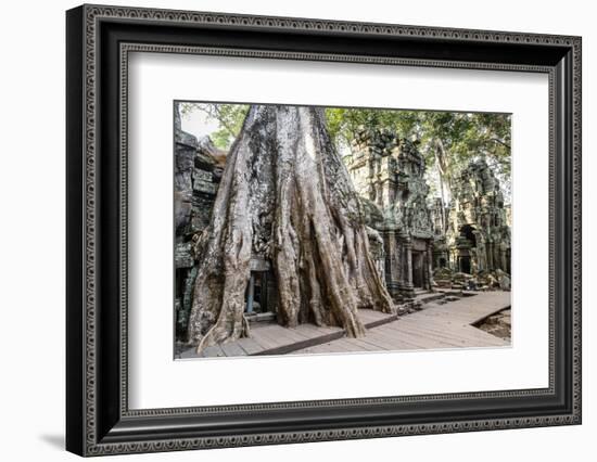 Ruins of the Ta Prohm Temple, Angkor, UNESCO World Heritage Site, Cambodia, Indochina-Yadid Levy-Framed Photographic Print