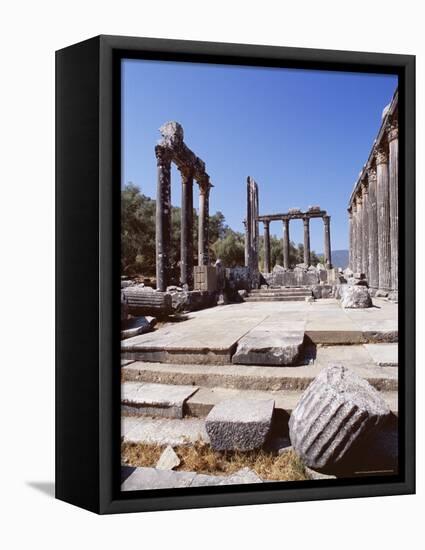 Ruins of the Temple of Zeus, Archaeological Site, Euromos, Near Bodrum, Anatolia, Turkey-R H Productions-Framed Premier Image Canvas