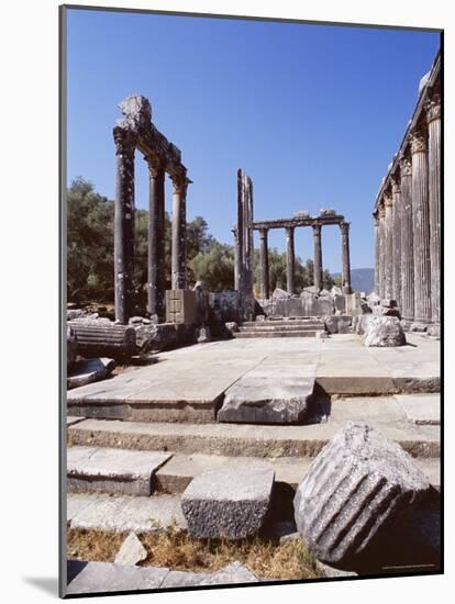 Ruins of the Temple of Zeus, Archaeological Site, Euromos, Near Bodrum, Anatolia, Turkey-R H Productions-Mounted Photographic Print