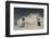 Ruins of the Umayyad Palace, Amman Citadel, Amman, Jordan-null-Framed Photographic Print