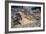 Ruins of Thermal Baths, Massaciuccoli, Tuscany, Italy AD-null-Framed Giclee Print