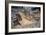 Ruins of Thermal Baths, Massaciuccoli, Tuscany, Italy AD-null-Framed Giclee Print