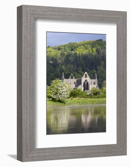 Ruins of Tintern Abbey by the River Wye, Tintern, Wye Valley, Monmouthshire, Wales, United Kingdom-Stuart Black-Framed Photographic Print