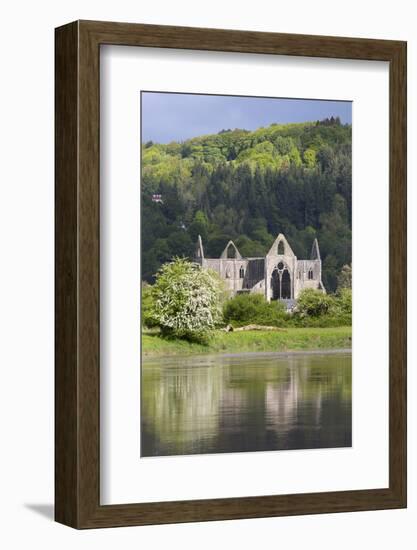 Ruins of Tintern Abbey by the River Wye, Tintern, Wye Valley, Monmouthshire, Wales, United Kingdom-Stuart Black-Framed Photographic Print