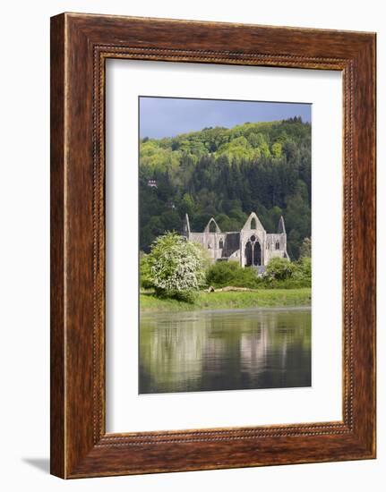 Ruins of Tintern Abbey by the River Wye, Tintern, Wye Valley, Monmouthshire, Wales, United Kingdom-Stuart Black-Framed Photographic Print