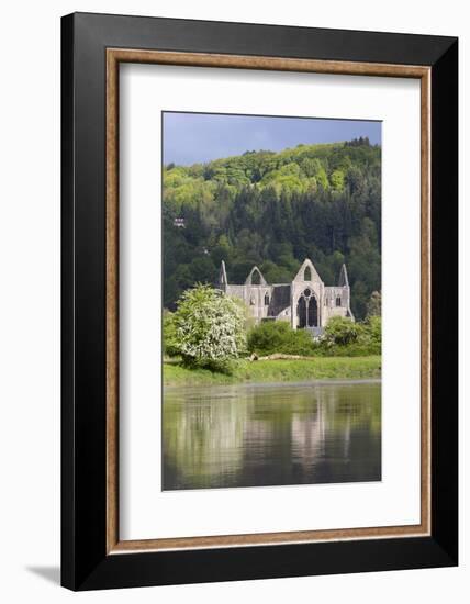 Ruins of Tintern Abbey by the River Wye, Tintern, Wye Valley, Monmouthshire, Wales, United Kingdom-Stuart Black-Framed Photographic Print