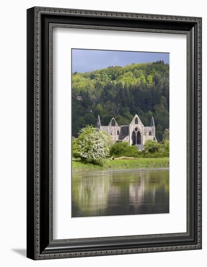 Ruins of Tintern Abbey by the River Wye, Tintern, Wye Valley, Monmouthshire, Wales, United Kingdom-Stuart Black-Framed Photographic Print