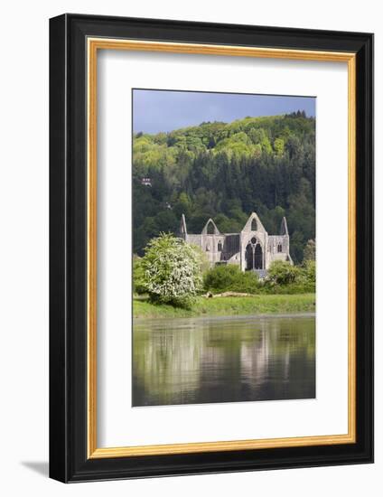 Ruins of Tintern Abbey by the River Wye, Tintern, Wye Valley, Monmouthshire, Wales, United Kingdom-Stuart Black-Framed Photographic Print