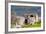 Ruins of Urquhart Castle at Loch Ness Inverness Highlands Scotland UK-vichie81-Framed Photographic Print